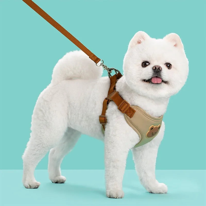 Ensemble harnais + laisse respirant – Pour petits & moyens chiens (Chihuahua, Bouledogue, Chiot)