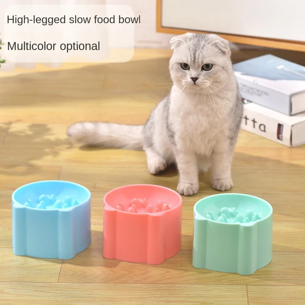 Gamelle Élevée Anti-Glouton pour Chats – Bol de Nourriture Anti-étouffement et Protection des Cervicales