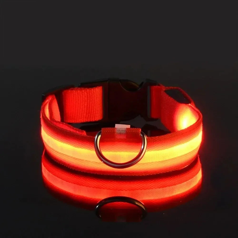 Collier LED lumineux pour chien, sécurité, marche nocturne, clignotant, lueur dans la nuit, collier à batterie pour chien, petit, moyen et grand chien