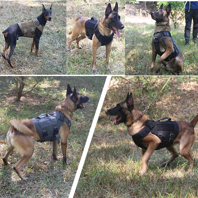 Gilet militaire tactique pour animaux de compagnie, berger allemand Golden Retriever, ensemble harnais et laisse d'entraînement tactique pour chiens de toutes les races