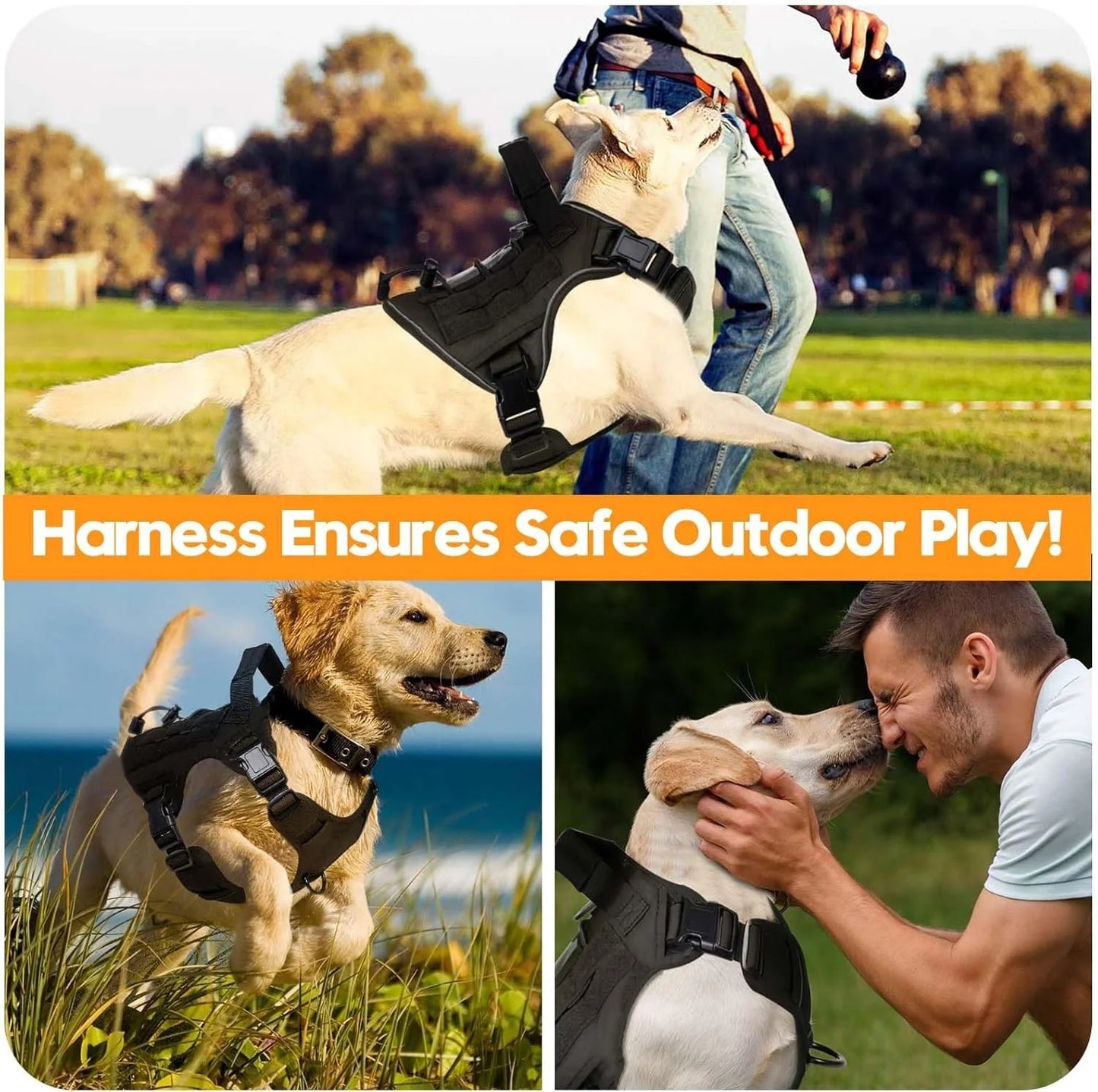 Collier tactique pour chien, harnais réglable pour races moyennes et grandes, gilet pour animaux de compagnie avec conception Anti-traction, harnais Portable pour chien