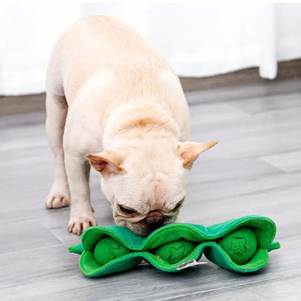 Jouet Interactif pour Chien – Gousse de Pois avec Friandises Cachées, Puzzle & Anti-Stress