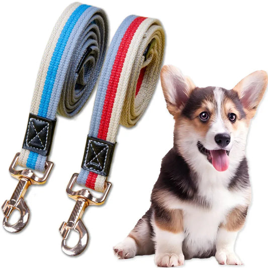 Laisse longue d’entraînement pour chien – Nylon antidérapant, corde de traction solide, idéale pour marche et dressage