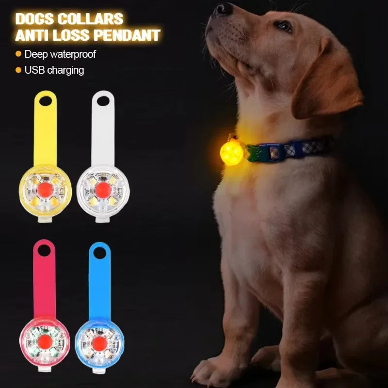 Collier pour chien, collier de perte, lumière de sécurité LED résistante aux intempéries, collier lumineux LED rechargeable par USB, chien, chat, animal de compagnie