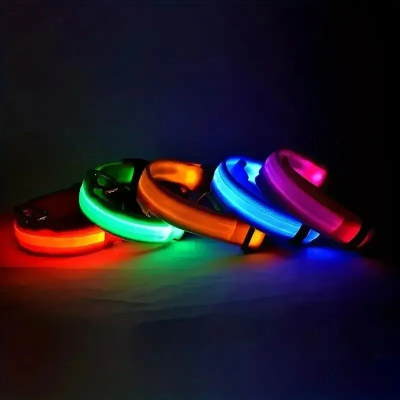 Collier LED lumineux pour chien, sécurité, marche nocturne, clignotant, lueur dans la nuit, collier à batterie pour chien, petit, moyen et grand chien