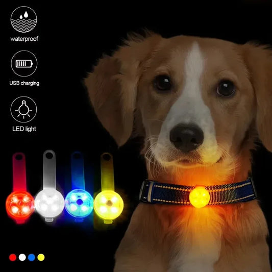 Collier pour chien, collier de perte, lumière de sécurité LED résistante aux intempéries, collier lumineux LED rechargeable par USB, chien, chat, animal de compagnie