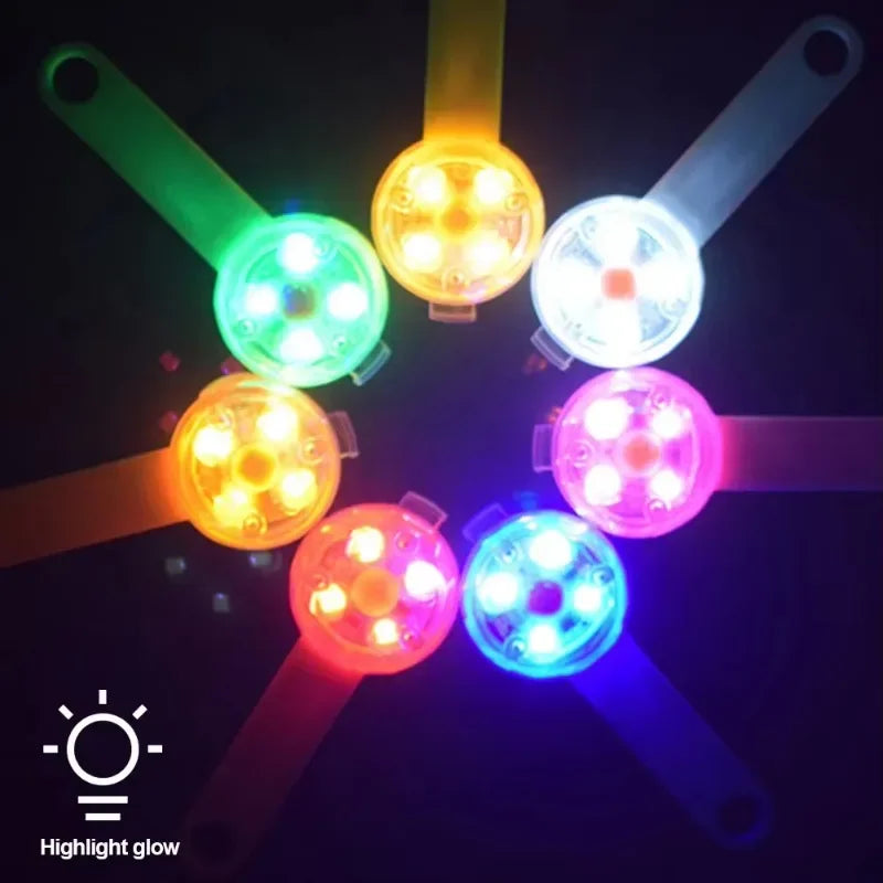 Collier pour chien, collier de perte, lumière de sécurité LED résistante aux intempéries, collier lumineux LED rechargeable par USB, chien, chat, animal de compagnie