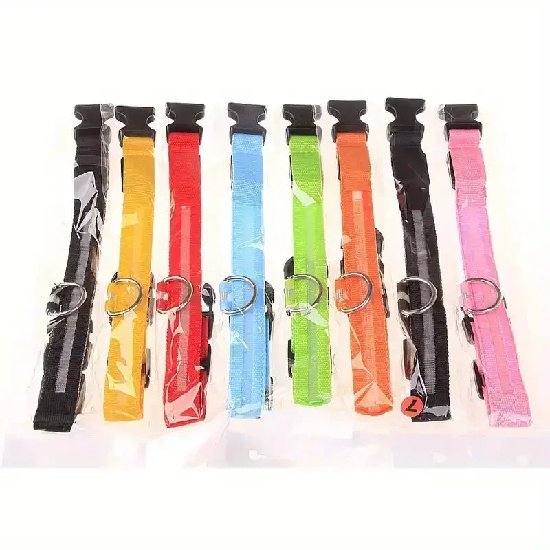 Collier LED lumineux pour chien, sécurité, marche nocturne, clignotant, lueur dans la nuit, collier à batterie pour chien, petit, moyen et grand chien