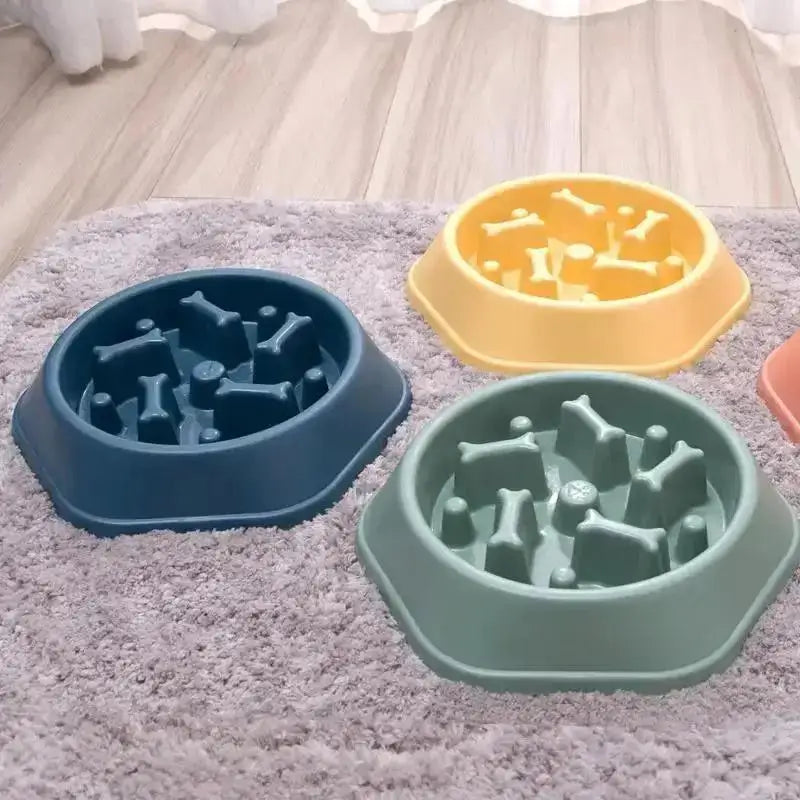Gamelle Anti-Glouton pour Chiens – Mangeoire Lente & Anti-Étouffement