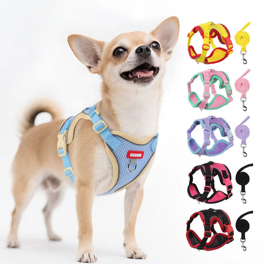 Harnais pour chien, gilet avec corde, harnais réfléchissant réglable pour animaux de compagnie, pour petits, moyens, anti-fuite, maille souple, respirant, marche, course à pied