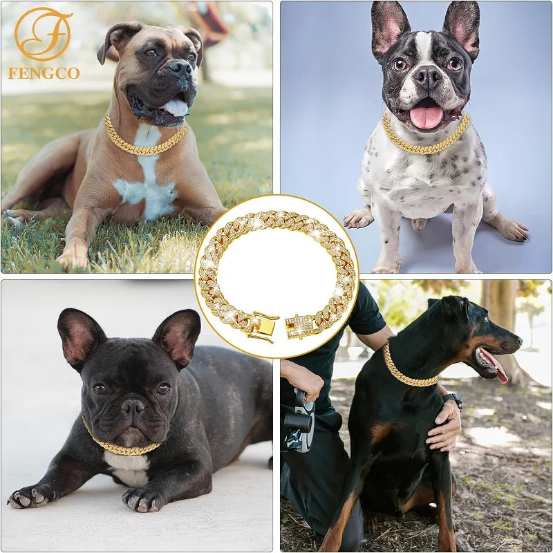 Collier Chaîne Doré de Luxe pour Chien – Résistant & Élégant